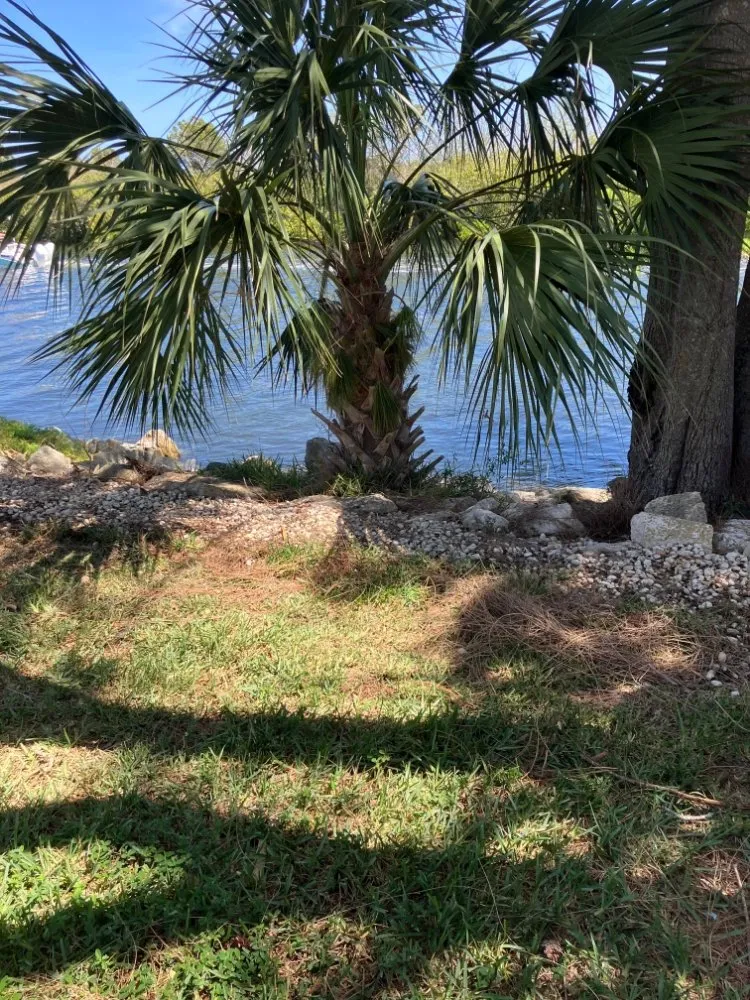 Expert lawn care service experts serving New Port Richey, FL - Vazquez Landscaping Care