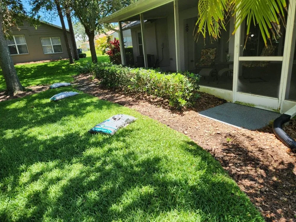 Reliable yard cleanup service near you across New Port Richey, FL - Vazquez Landscaping Care