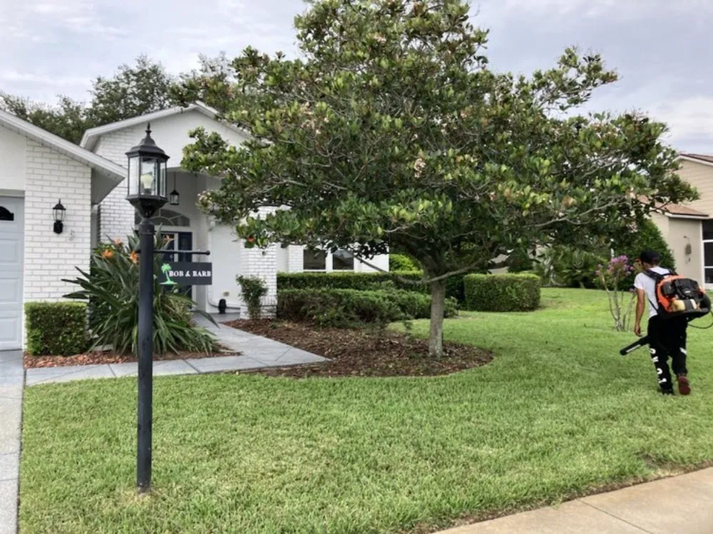 Trusted landscape design experts serving New Port Richey, FL - Vazquez Landscaping Care