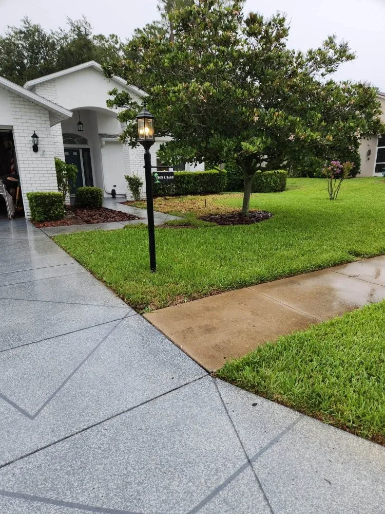 Affordable landscape design for residential properties across New Port Richey, FL - Vazquez Landscaping Care
