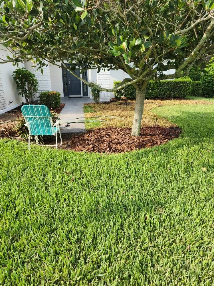 Trusted residential landscaping for residential properties across New Port Richey, FL - Vazquez Landscaping Care