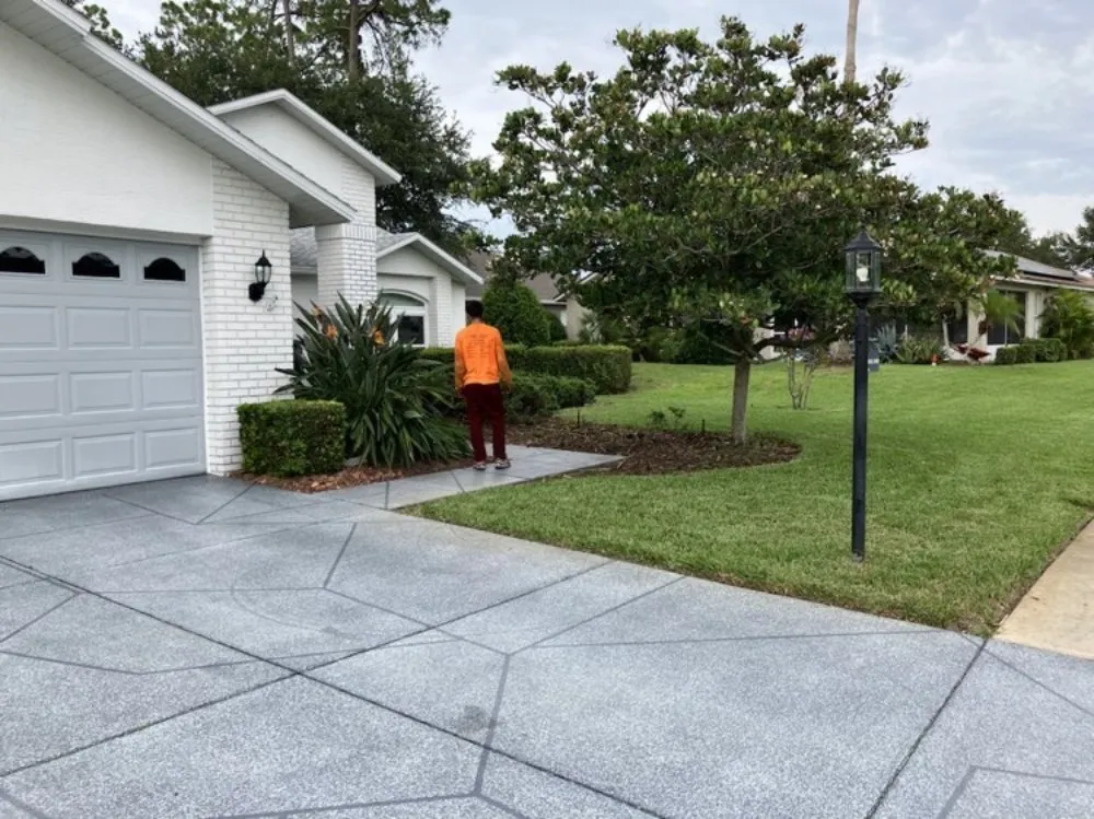 Local outdoor landscaping in New Port Richey, FL by Vazquez Landscaping Care