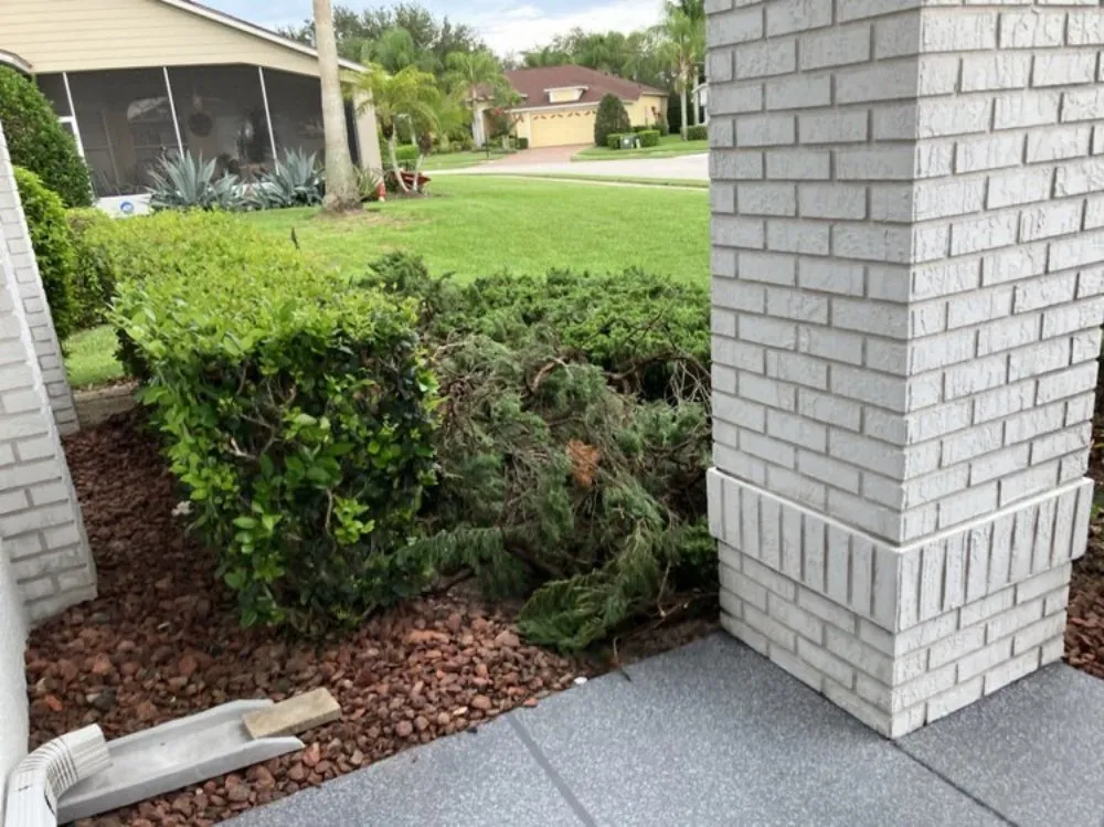 Professional garden landscaping for homes in New Port Richey, FL by Vazquez Landscaping Care