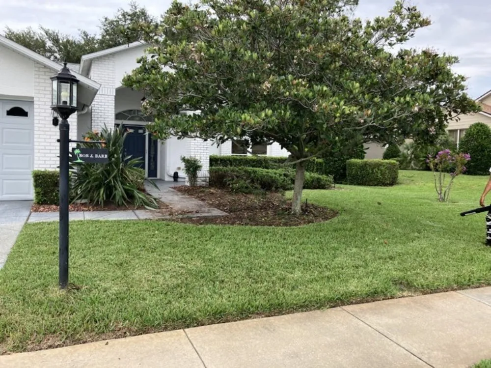 Local residential landscaping for year-round maintenance across New Port Richey, FL - Vazquez Landscaping Care