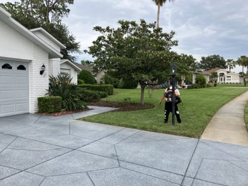 Custom landscaping services experts serving New Port Richey, FL - Vazquez Landscaping Care