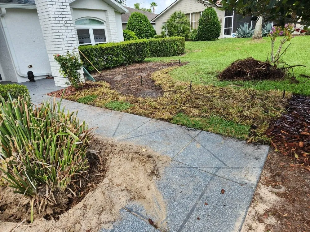 Reliable outdoor landscaping for beautiful yards in New Port Richey, FL by Vazquez Landscaping Care