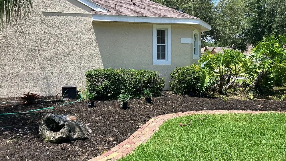Custom yard cleanup service in New Port Richey, FL by Vazquez Landscaping Care