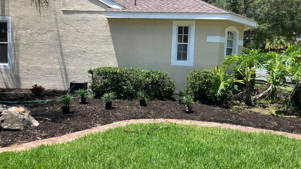 Expert lawn mowing service in New Port Richey, FL by Vazquez Landscaping Care
