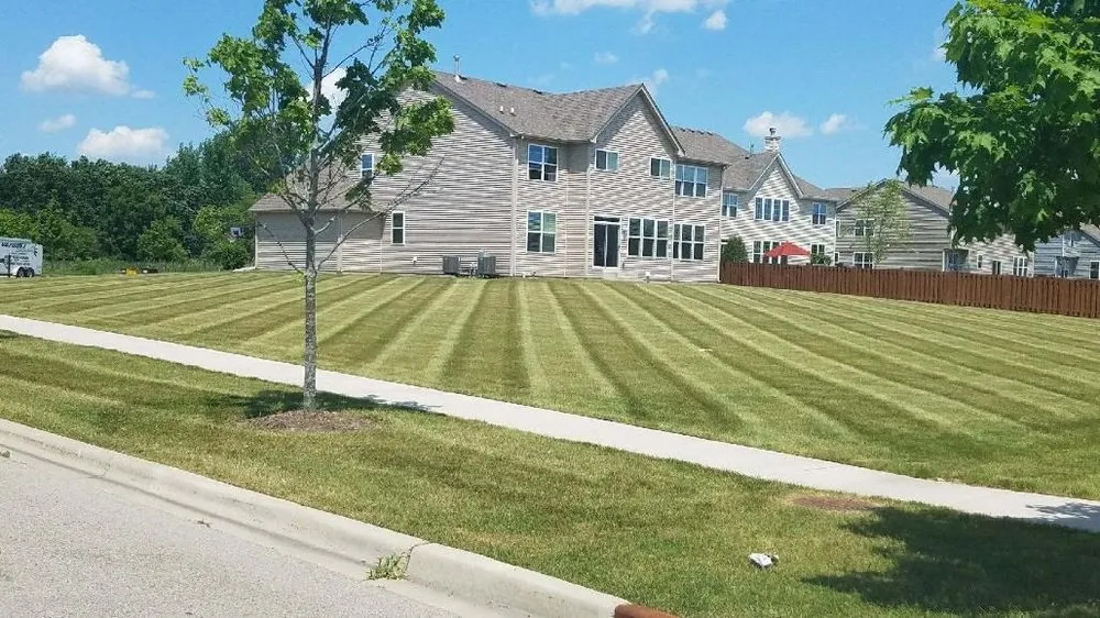Custom yard maintenance in Elgin, IL by Vazquez Landscaping