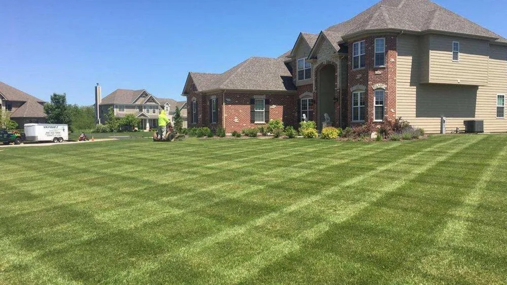 Local landscaping services for year-round maintenance across Elgin, IL - Vazquez Landscaping