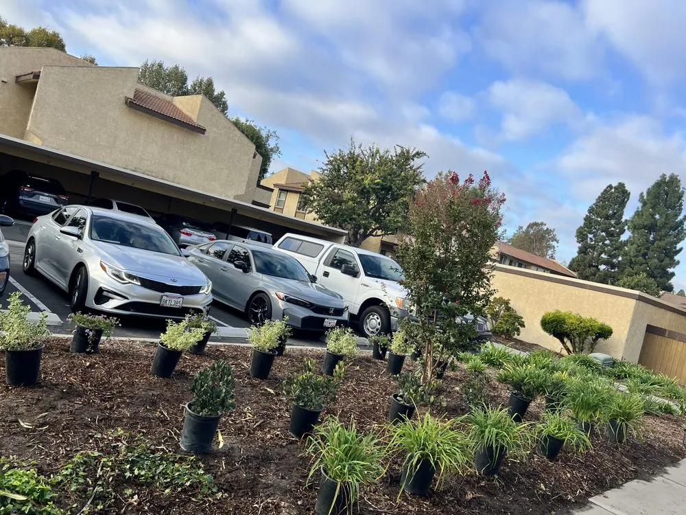 Top-rated yard cleanup service in Oxnard, CA by Vazquez Landscaping