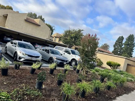 Vazquez Landscaping Logo