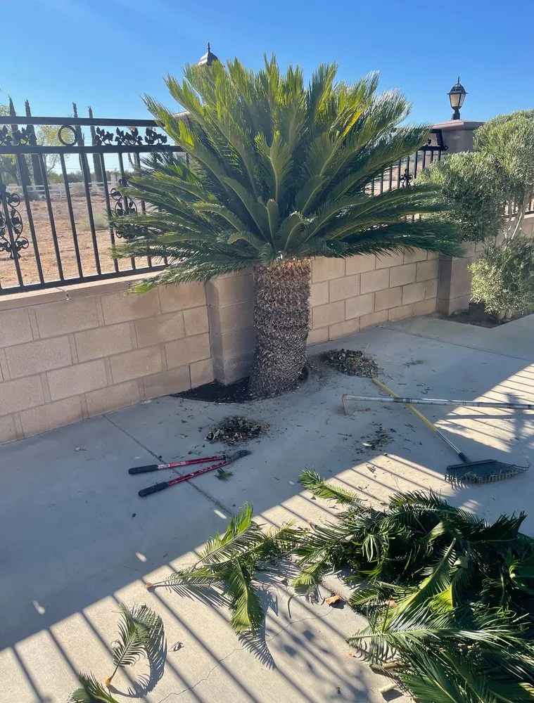 Custom lawn mowing service experts serving Palmdale, CA - Vazquez landscaping