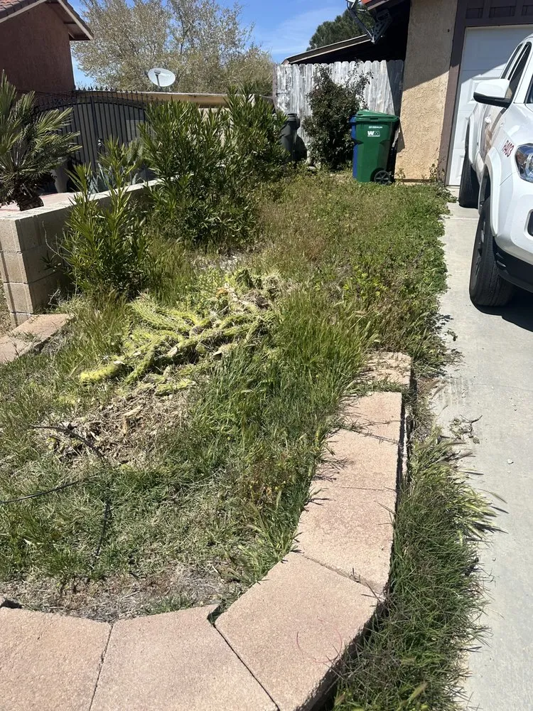 Trusted residential landscaping for residential properties in Palmdale, CA by Vazquez landscaping