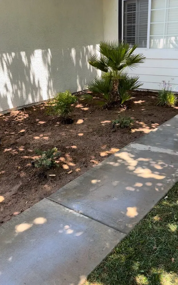 Local residential landscaping experts serving Palmdale, CA - Vazquez landscaping