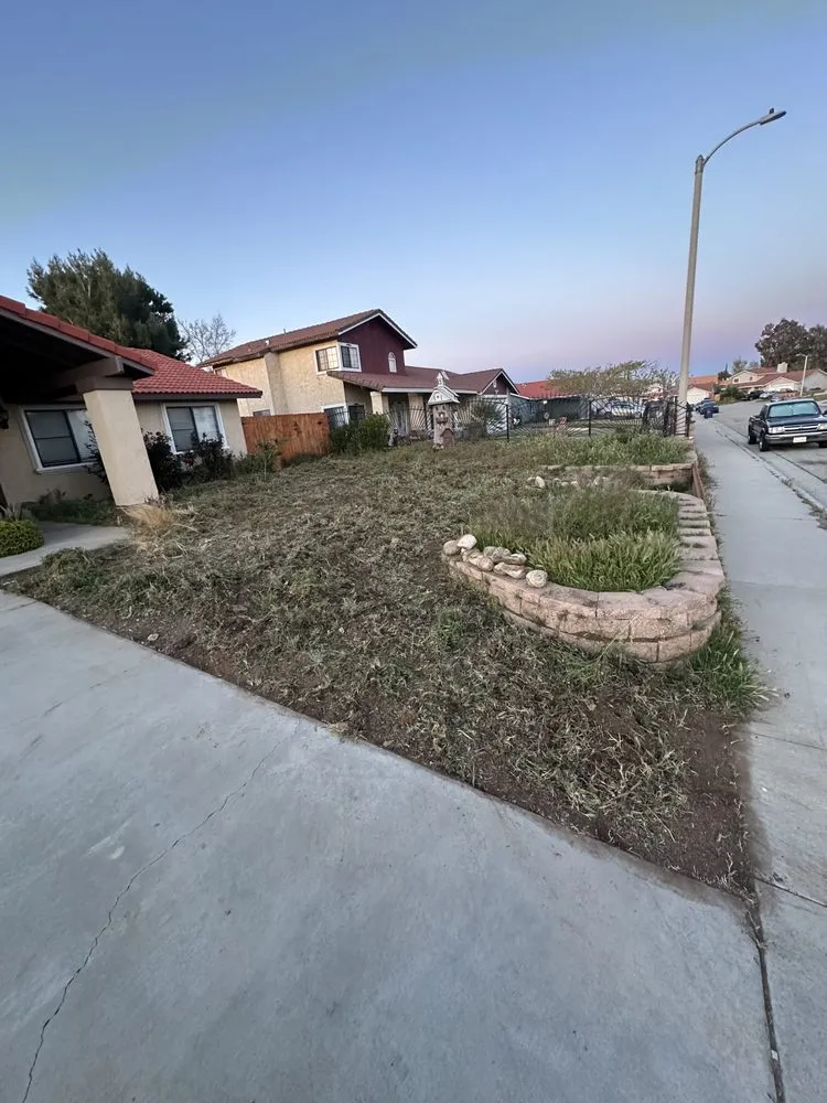 Trusted outdoor landscaping with custom design in Palmdale, CA by Vazquez landscaping