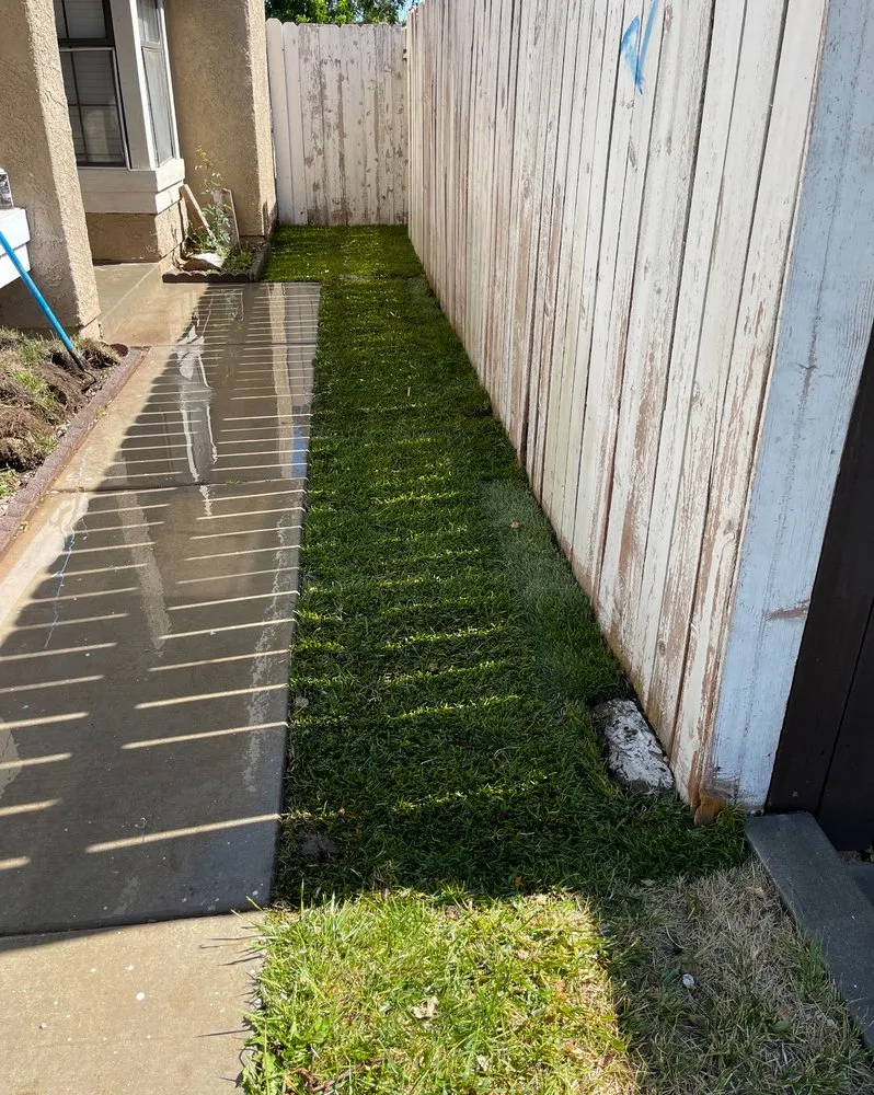 Affordable lawn mowing service experts serving Palmdale, CA - Vazquez landscaping