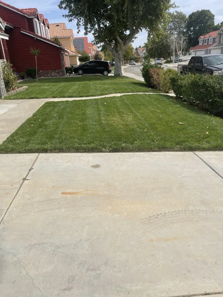 Affordable yard cleanup service experts serving Palmdale, CA - Vazquez landscaping