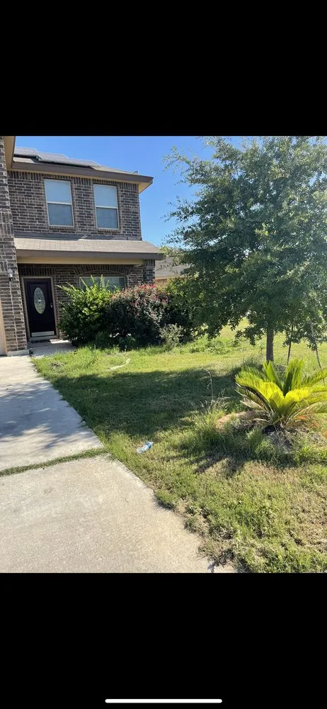Local landscape design in San Antonio, TX - Vazquez Landscaping