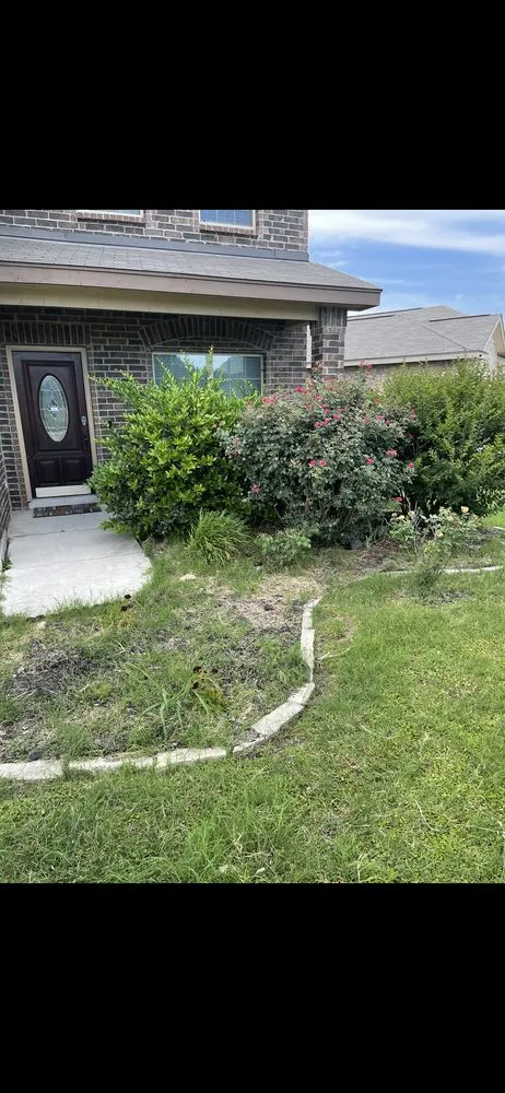 Reliable lawn care service with custom design in San Antonio, TX by Vazquez Landscaping
