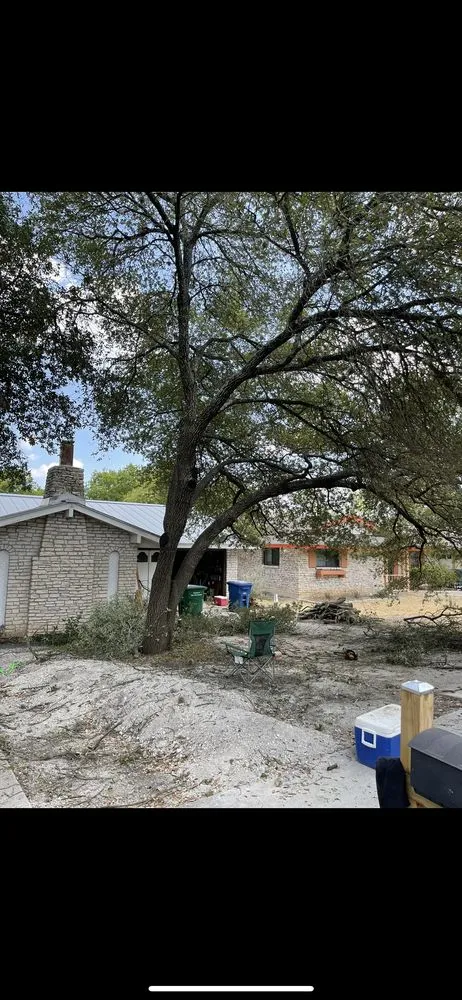 Local landscaping services in San Antonio, TX by Vazquez Landscaping