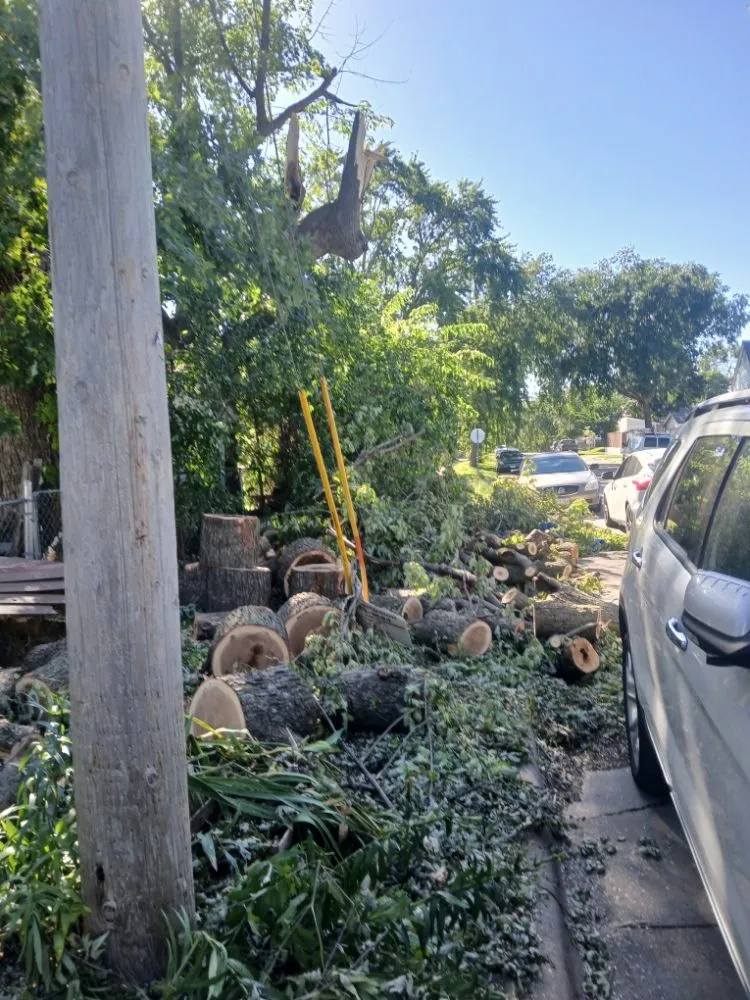 Trusted yard cleanup service in Saint Paul, MN - Vazquez Landscaping Service