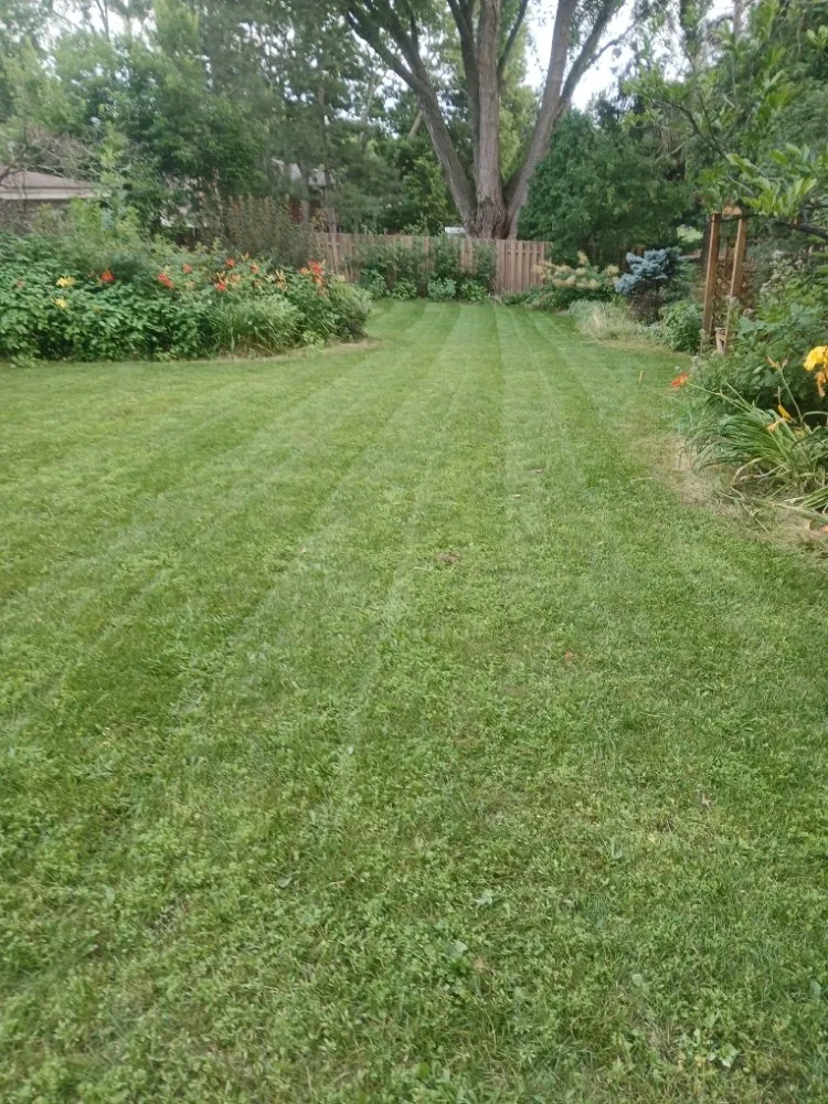 Expert landscape design with custom design in Saint Paul, MN by Vazquez Landscaping Service
