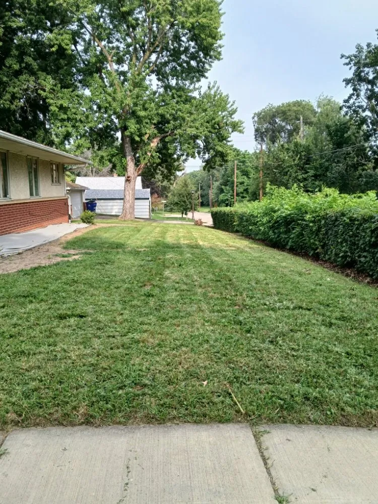 Reliable lawn mowing service near you across Saint Paul, MN - Vazquez Landscaping Service