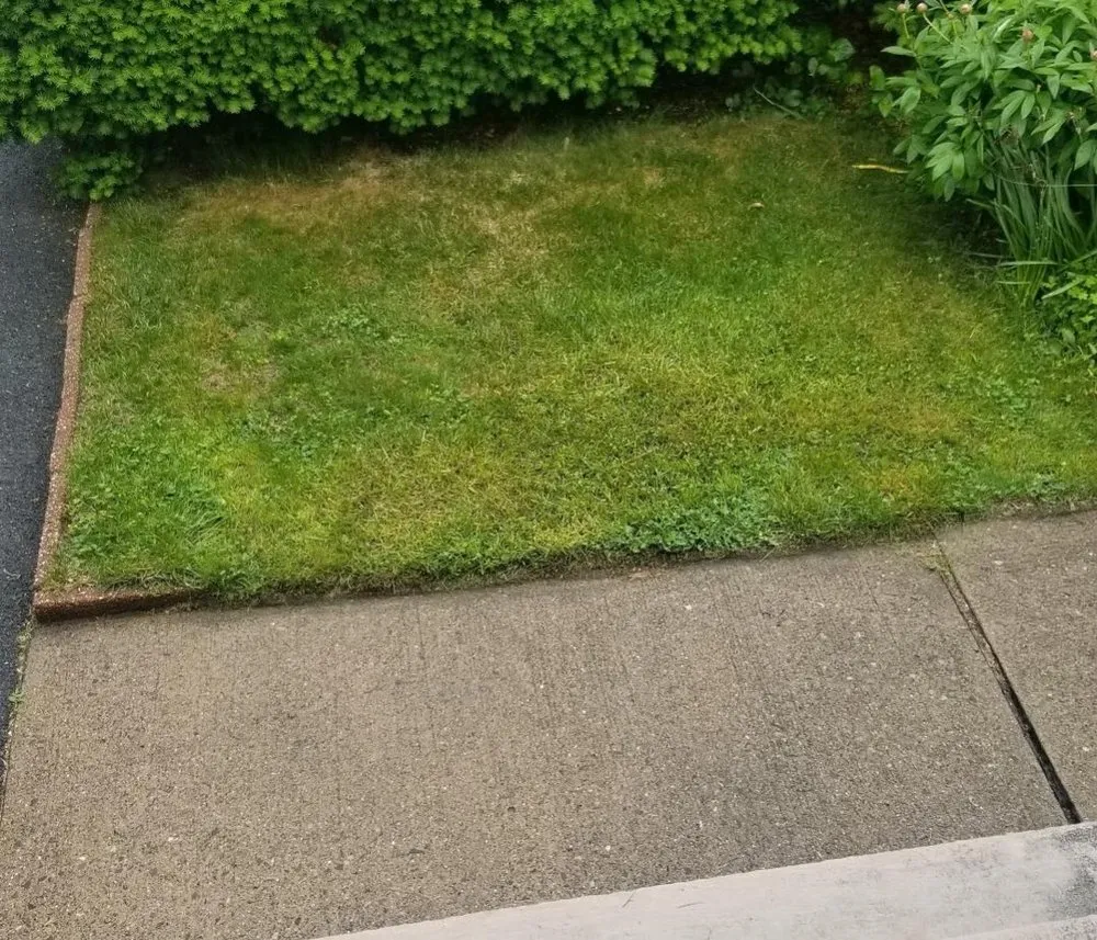 Top-rated landscape design experts serving Bloomingdale, NJ - Vazquez Landscaping Services