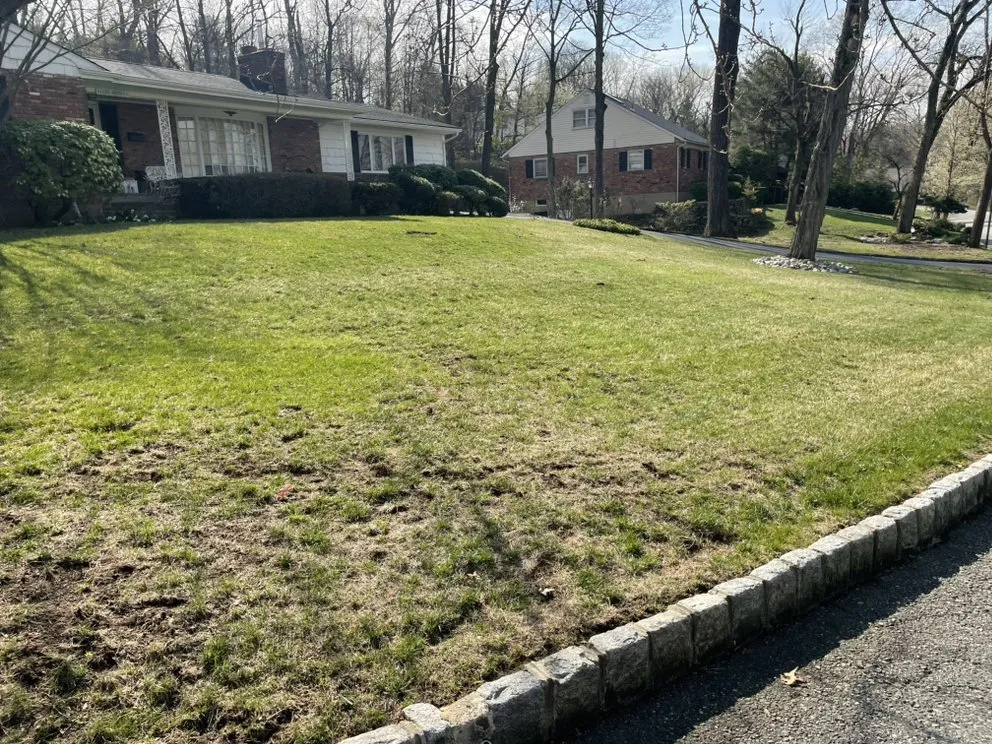 Top-rated residential landscaping in Bloomingdale, NJ by Vazquez Landscaping Services