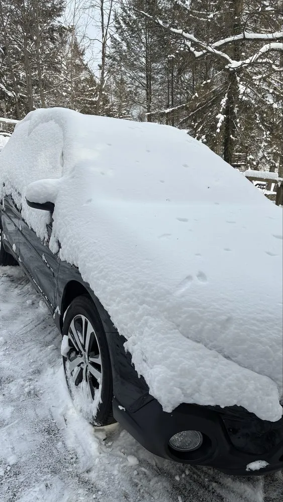 Local garden landscaping for homes in Bloomingdale, NJ by Vazquez Landscaping Services