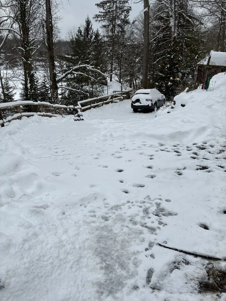 Affordable lawn mowing service for beautiful yards in Bloomingdale, NJ by Vazquez Landscaping Services