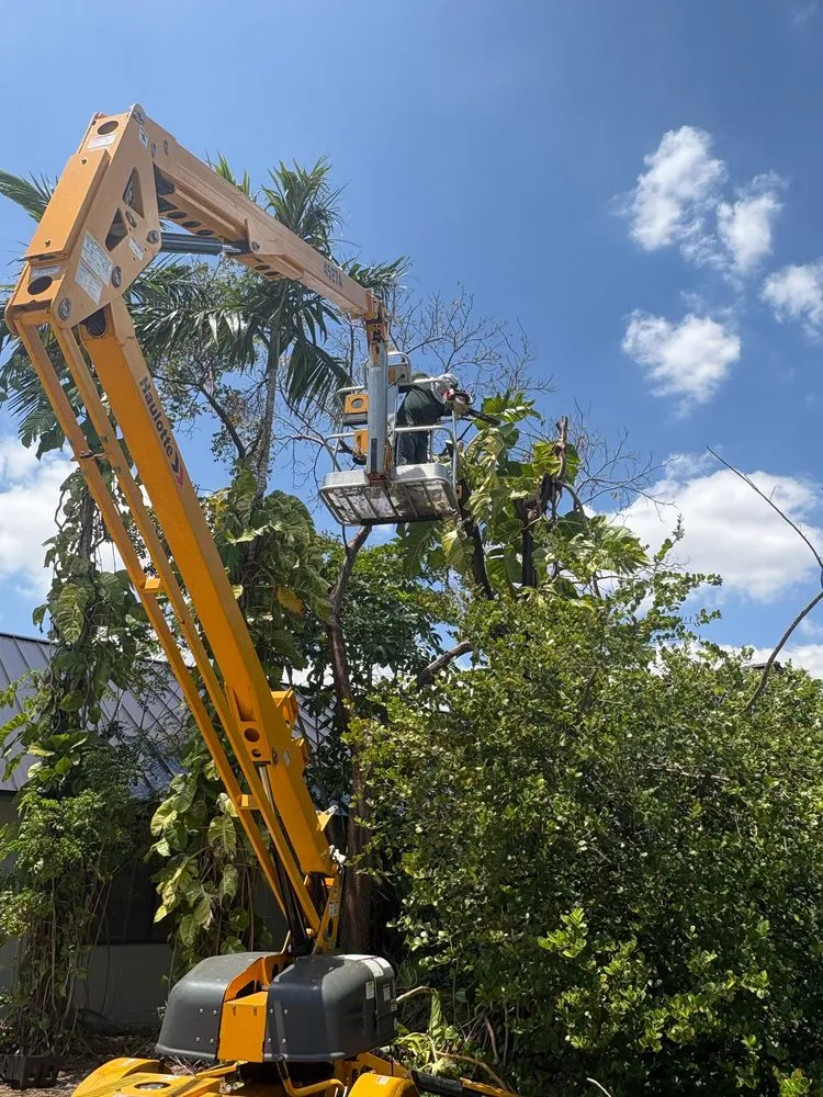 Top-rated garden landscaping in Doral, FL by Vazquez Landscaping Services