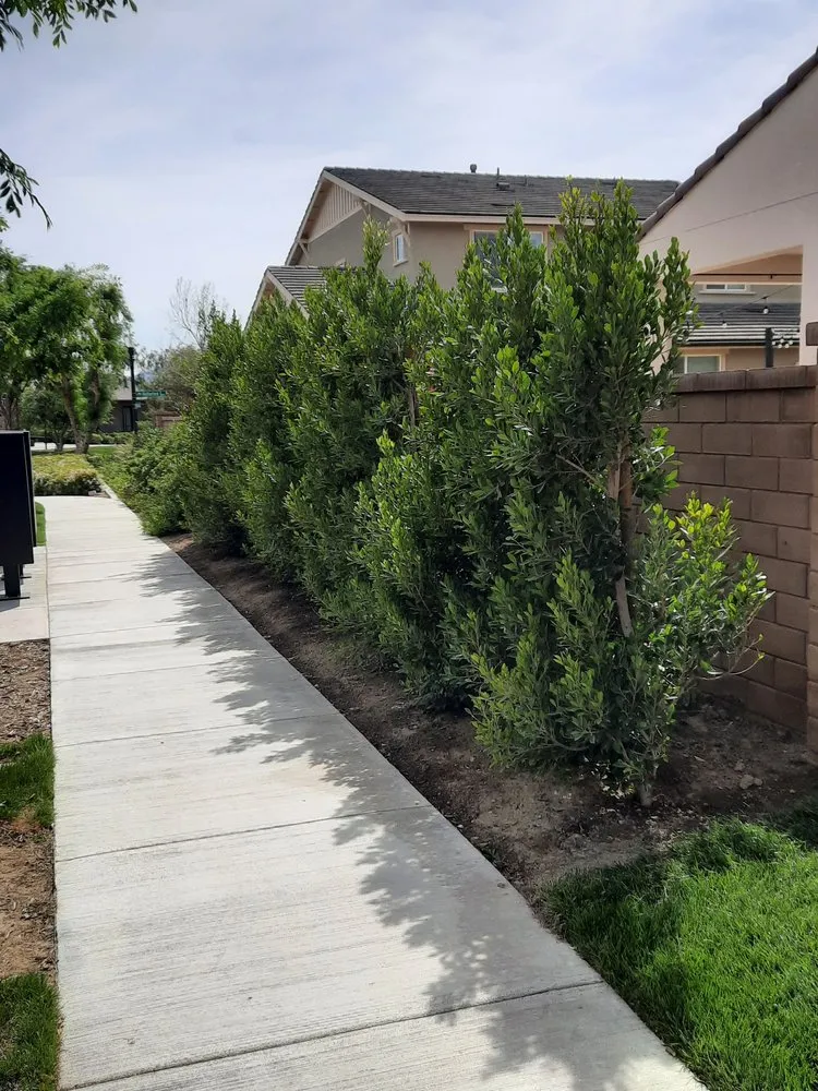Reliable outdoor landscaping in Norco, CA - Vazquez Landscaping Services