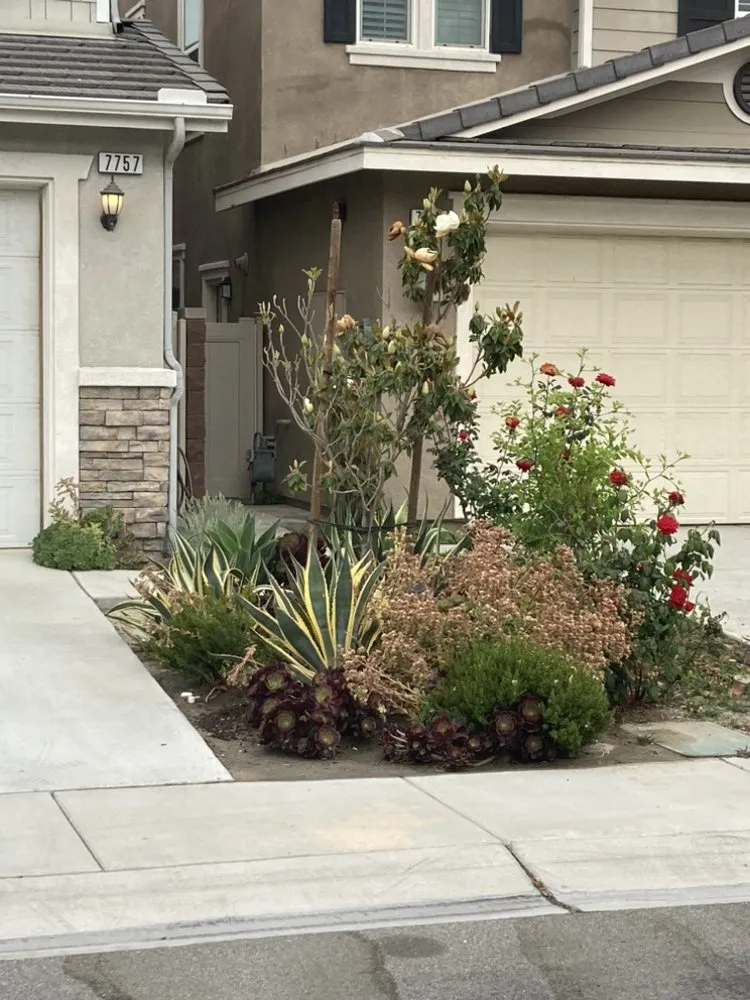 Reliable garden landscaping in Norco, CA - Vazquez Landscaping Services