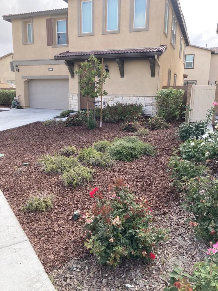 Affordable landscaping services for residential properties across Norco, CA - Vazquez Landscaping Services