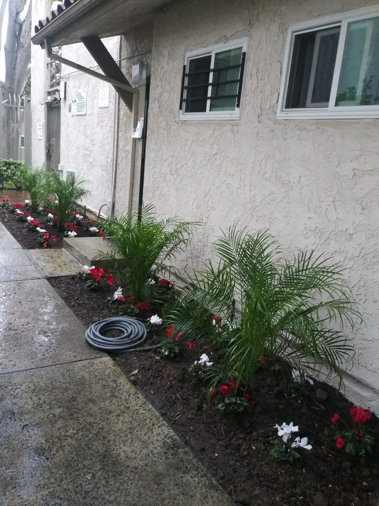 Top-rated outdoor landscaping in Norco, CA - Vazquez Landscaping Services