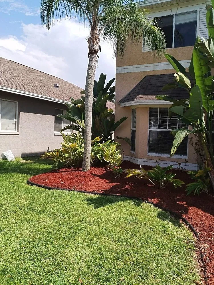 Expert landscape design in Clearwater, FL by Vazquez Lawn and Landscape