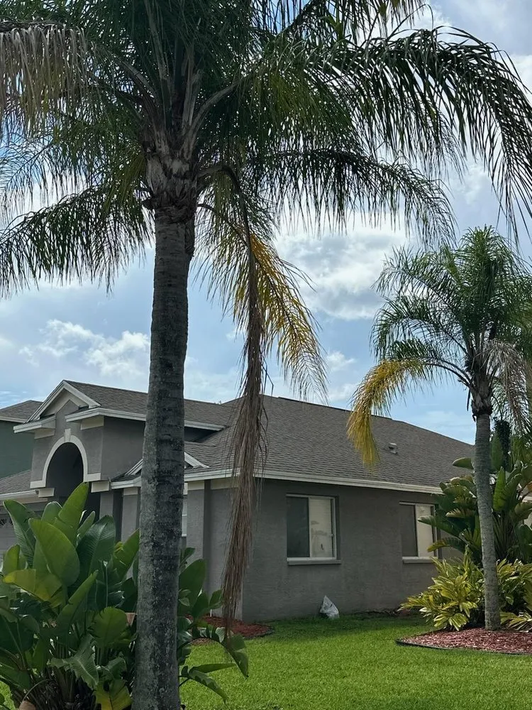 Expert landscape installation experts serving Clearwater, FL - Vazquez Lawn and Landscape