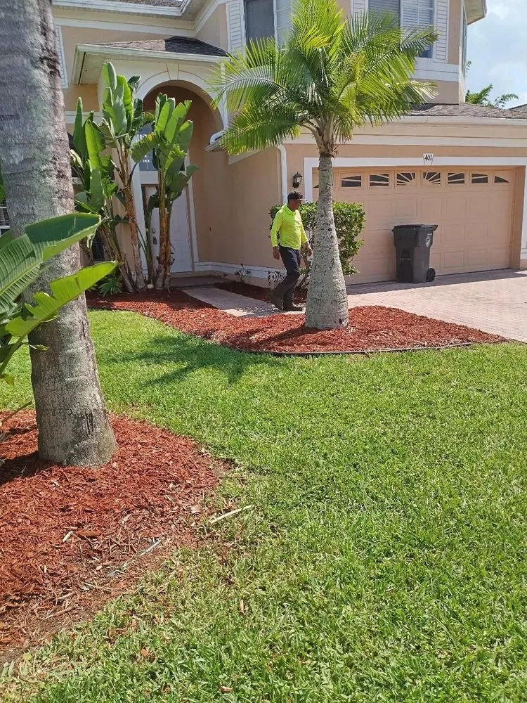 Professional landscaping services in Clearwater, FL by Vazquez Lawn and Landscape