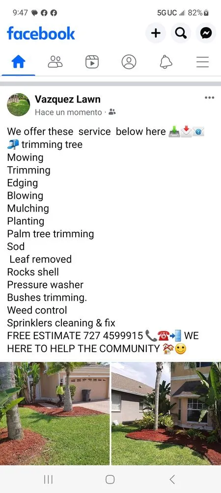 Top-rated landscaping services for residential properties across Clearwater, FL - Vazquez Lawn and Landscape