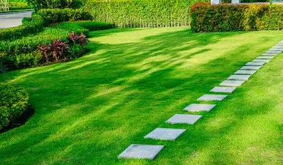 Professional yard cleanup service for residential properties in Oxnard, CA by Vazquez Lawn Care