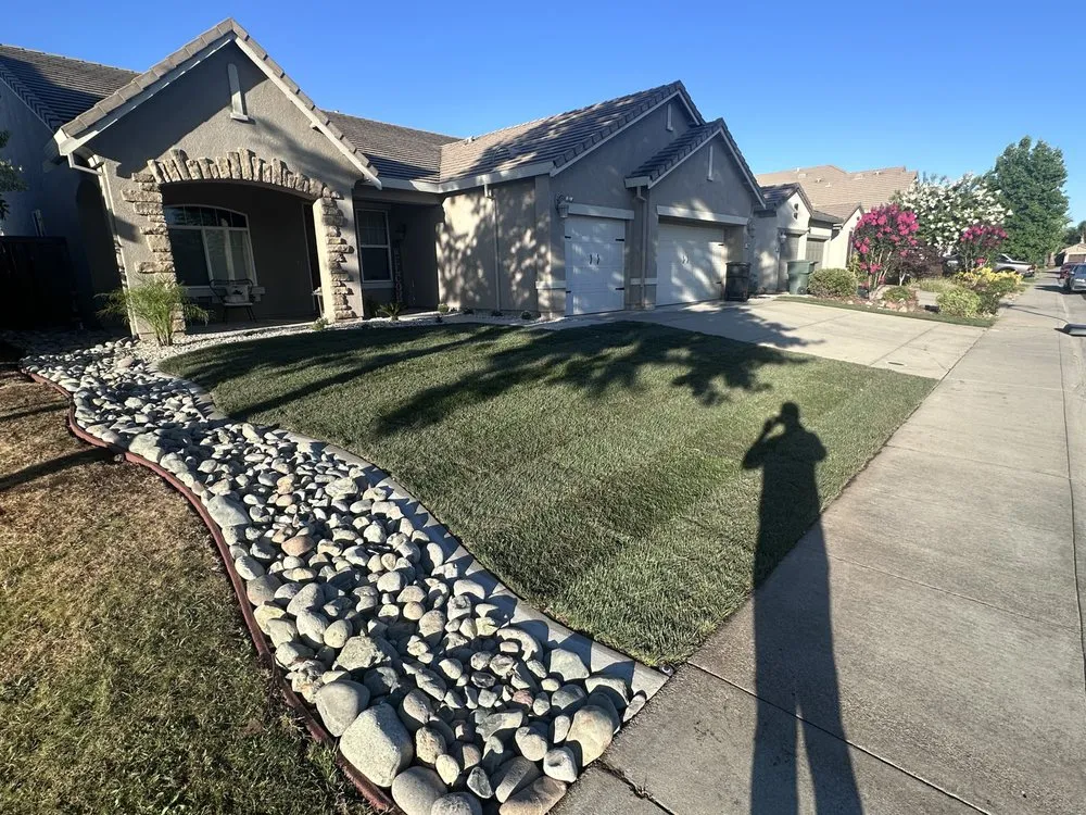 Expert yard maintenance for outdoor upgrades across Roseville, CA - Vazquez Main Landscape