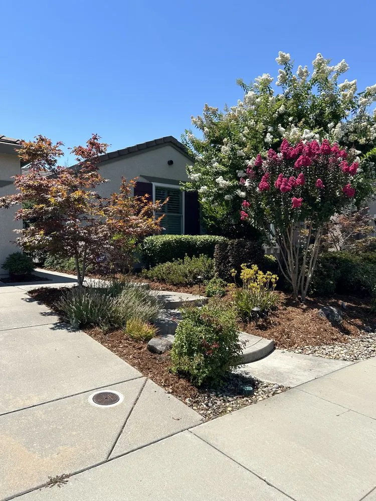 Local landscape installation in Roseville, CA by Vazquez Main Landscape