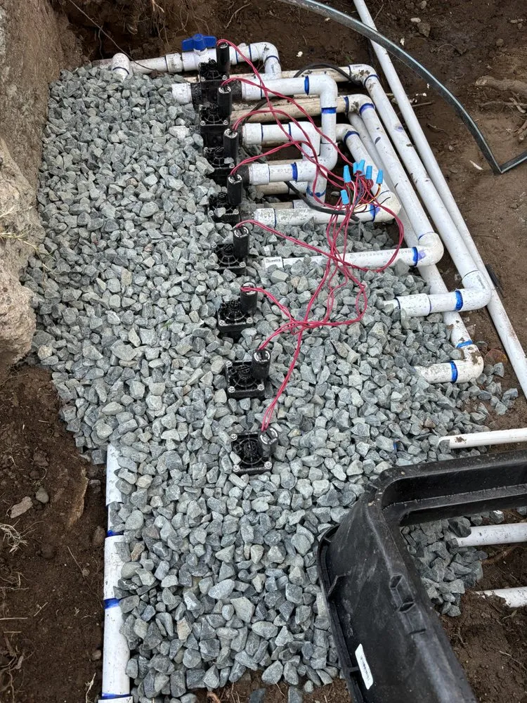 Local residential landscaping in Concord, CA - Vazquez Tree Services and Landscaping