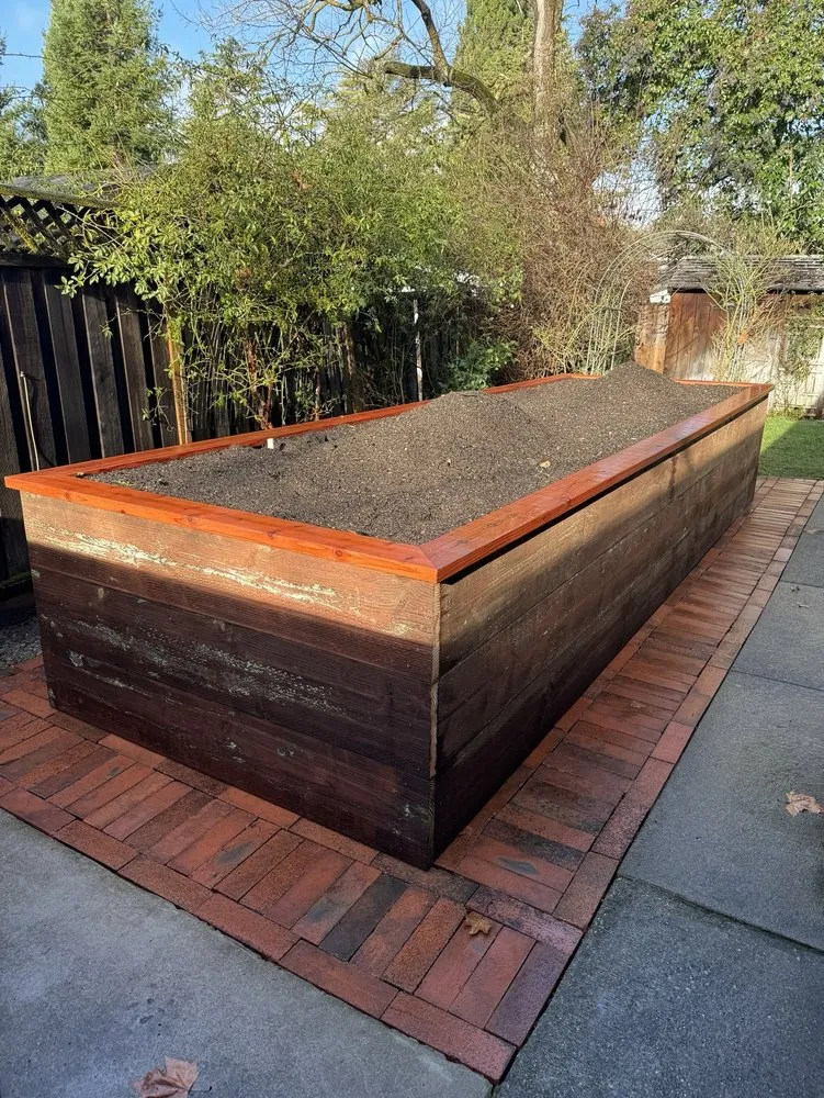 Affordable lawn mowing service for residential properties in Concord, CA by Vazquez Tree Services and Landscaping