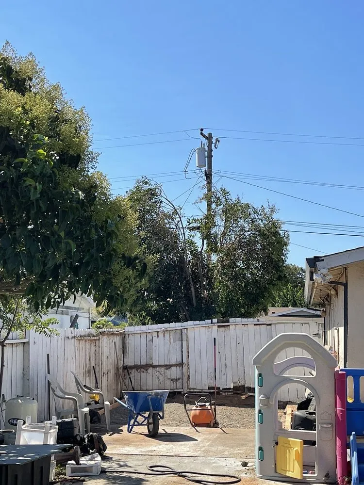 Top-rated yard maintenance for beautiful yards in Concord, CA by Vazquez Tree Services and Landscaping