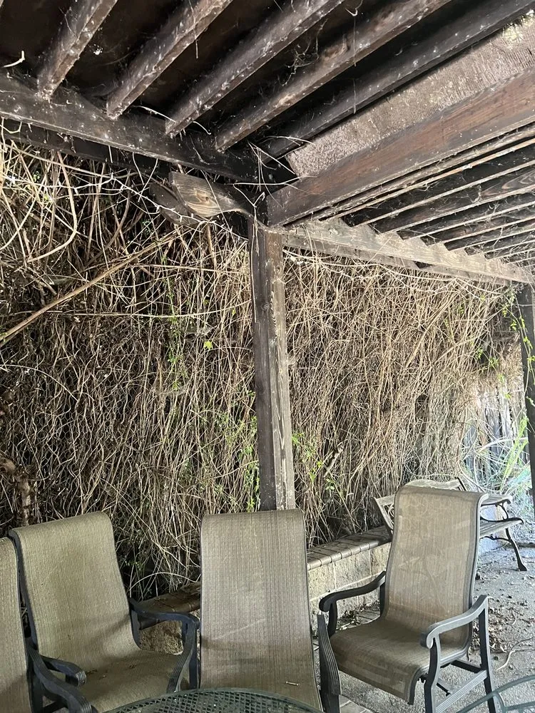 Affordable landscape design for year-round maintenance in Concord, CA by Vazquez Tree Services and Landscaping