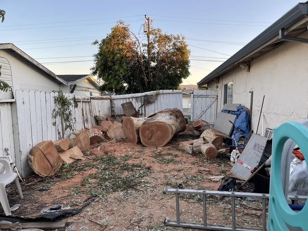 Expert landscape design experts serving Concord, CA - Vazquez Tree Services and Landscaping