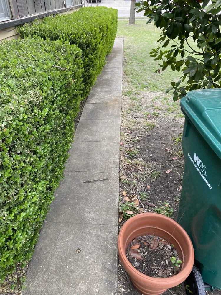 Trusted yard cleanup service for residential properties in Killeen, TX by VB Elite Power Washing